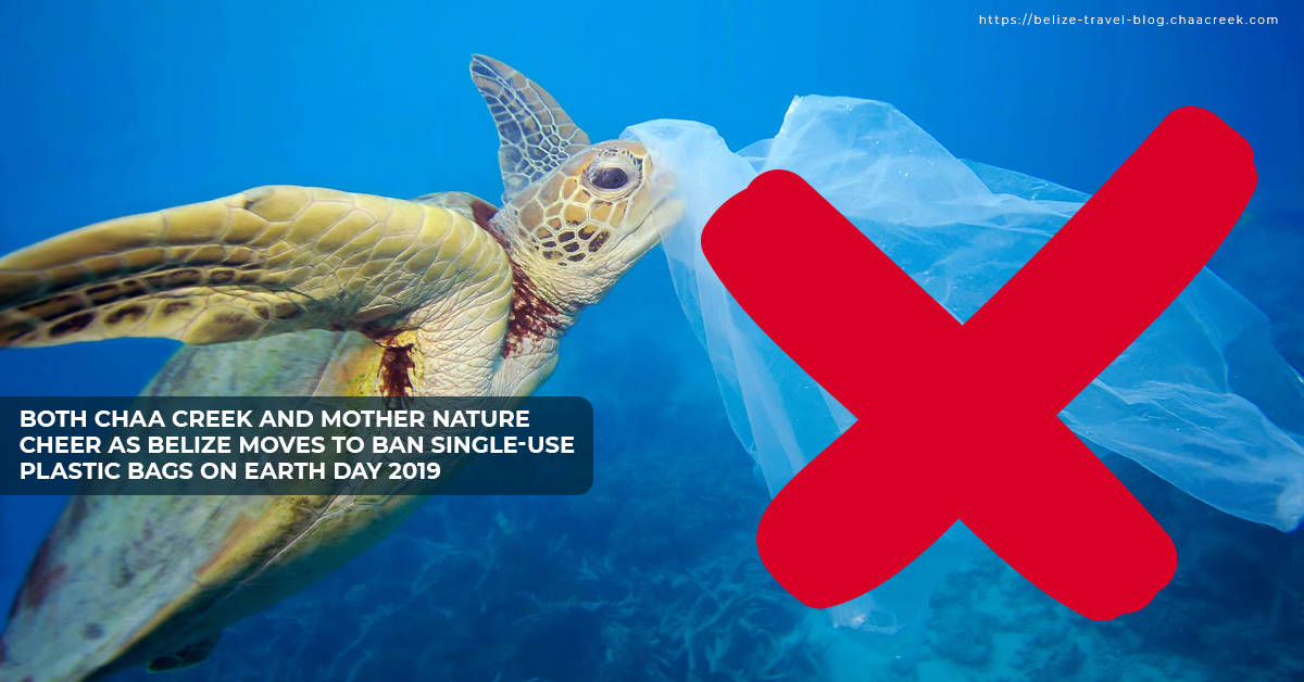 Both Chaa Creek And Mother Nature Cheer As Belize Moves To Ban Single-Use Plastic Bags On Earth Day 2019