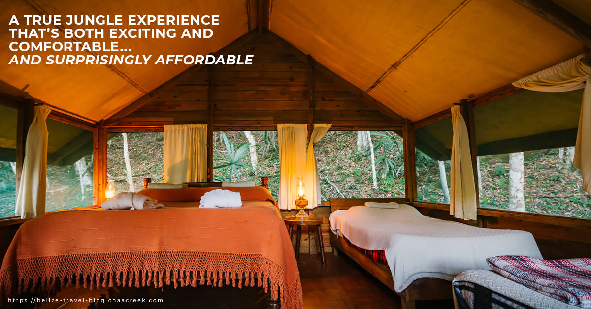 A True Jungle Experience That’s Both Exciting And Comfortable...And Surprisingly Affordable
