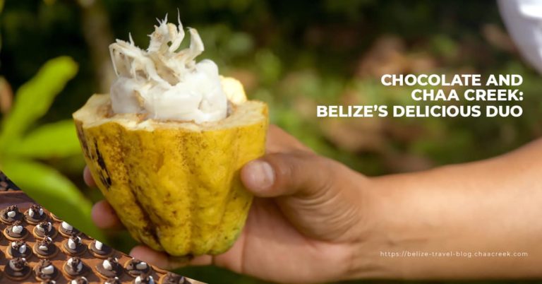 Belize Chocolate Fest 2019