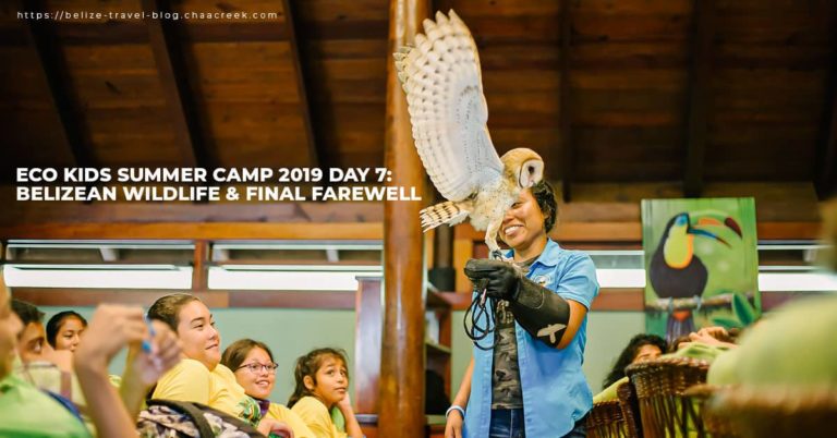 eco kids summer camp 2019 day 7 wildlife farewell hero
