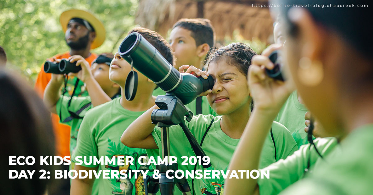 Eco Kids Summer Camp 2019 Day 2: Biodiversity & Conservation