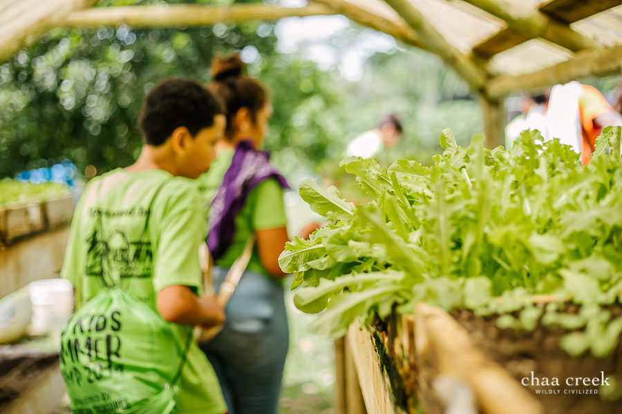 eco kids summer camp 2019 day 5 greenhouse tour