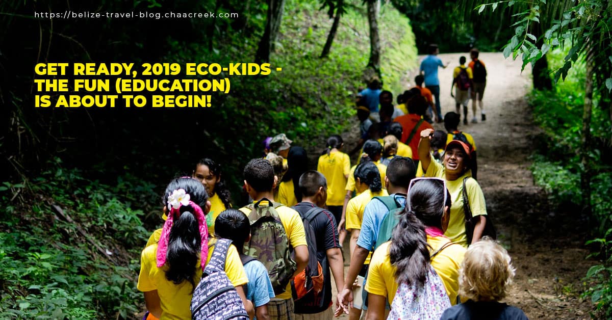 Get Ready, 2019 Eco-Kids - The Fun (Education) Is About To Begin!