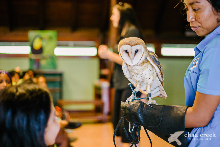eco kids summer camp 2019 day 7 barn owl