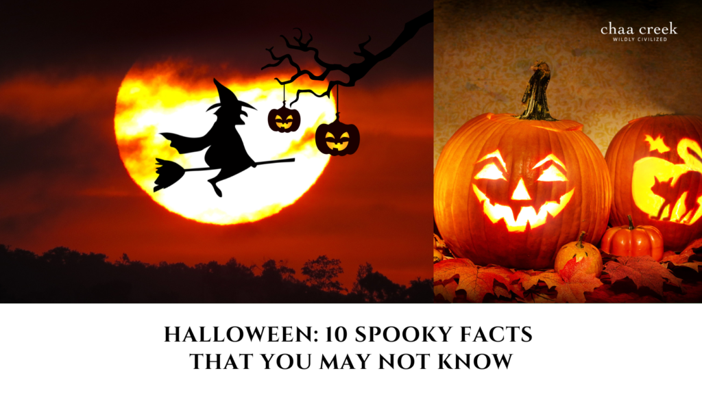 halloween facts