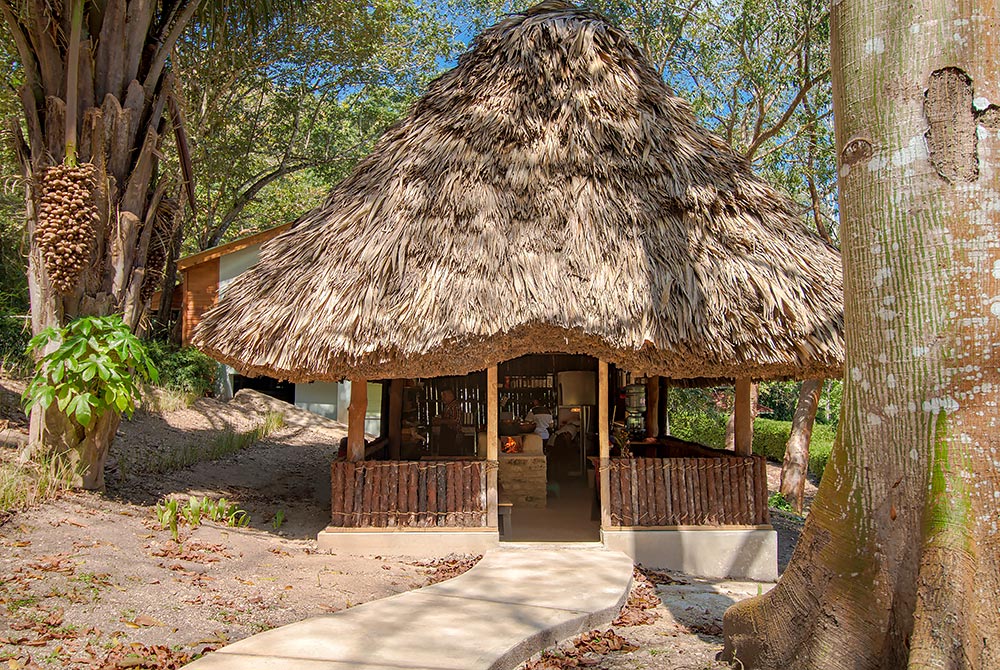 chaa creek open hearth belize cooking class palapa exterior