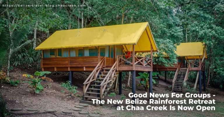 belize rainforest retreat at chaa creek now open header photo