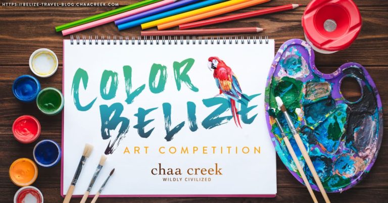 color belize art competition chaa creek cover art