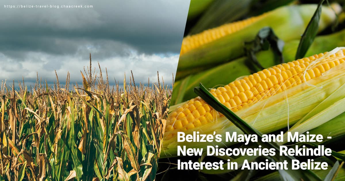 Belize’s Maya and Maize - New Discoveries Rekindle Interest in Ancient Belize