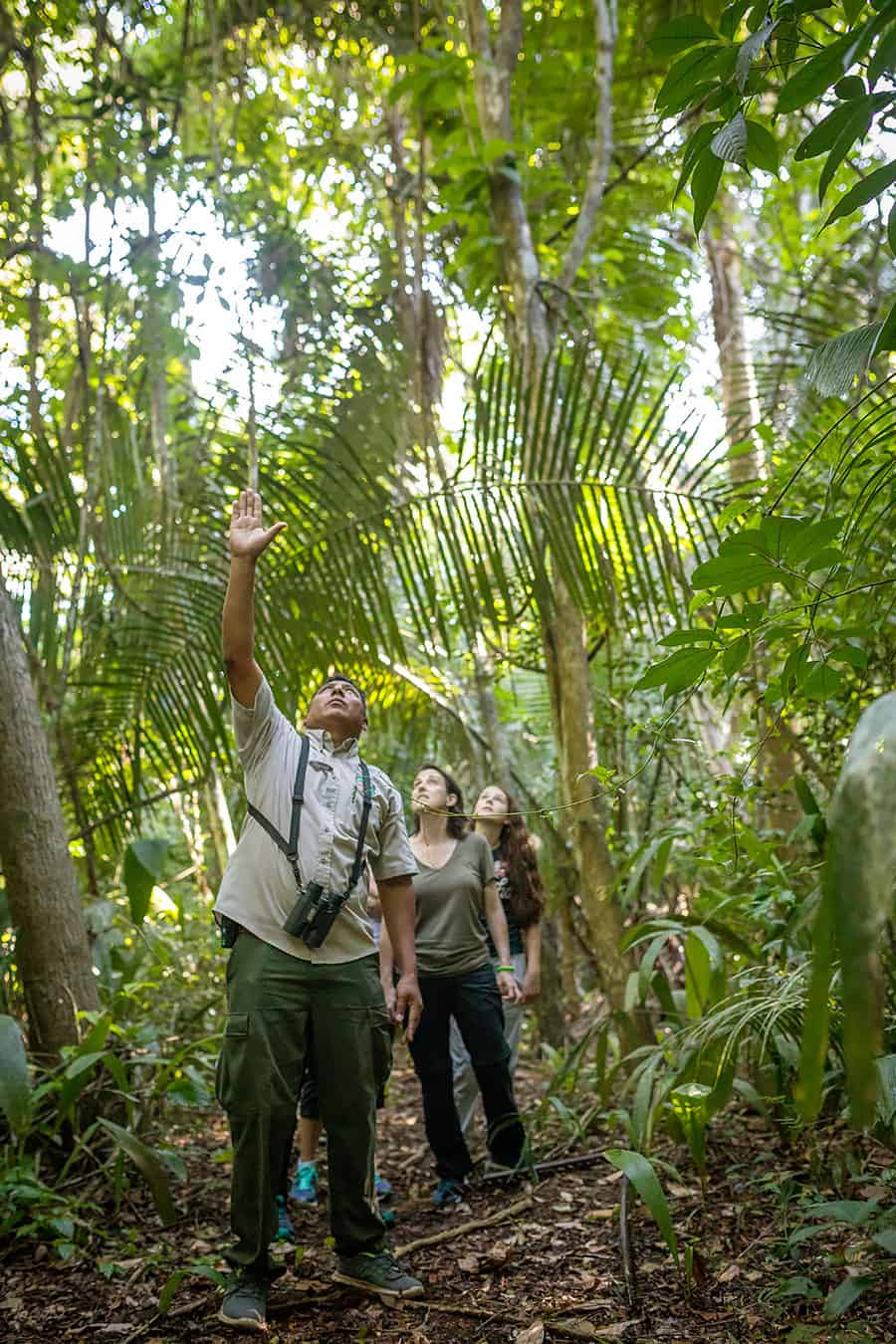 outdoor hiking in belize at chaa creek eco lodge