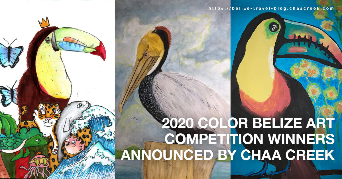 2020 Color Belize Art Competition Winners Announced by Chaa Creek