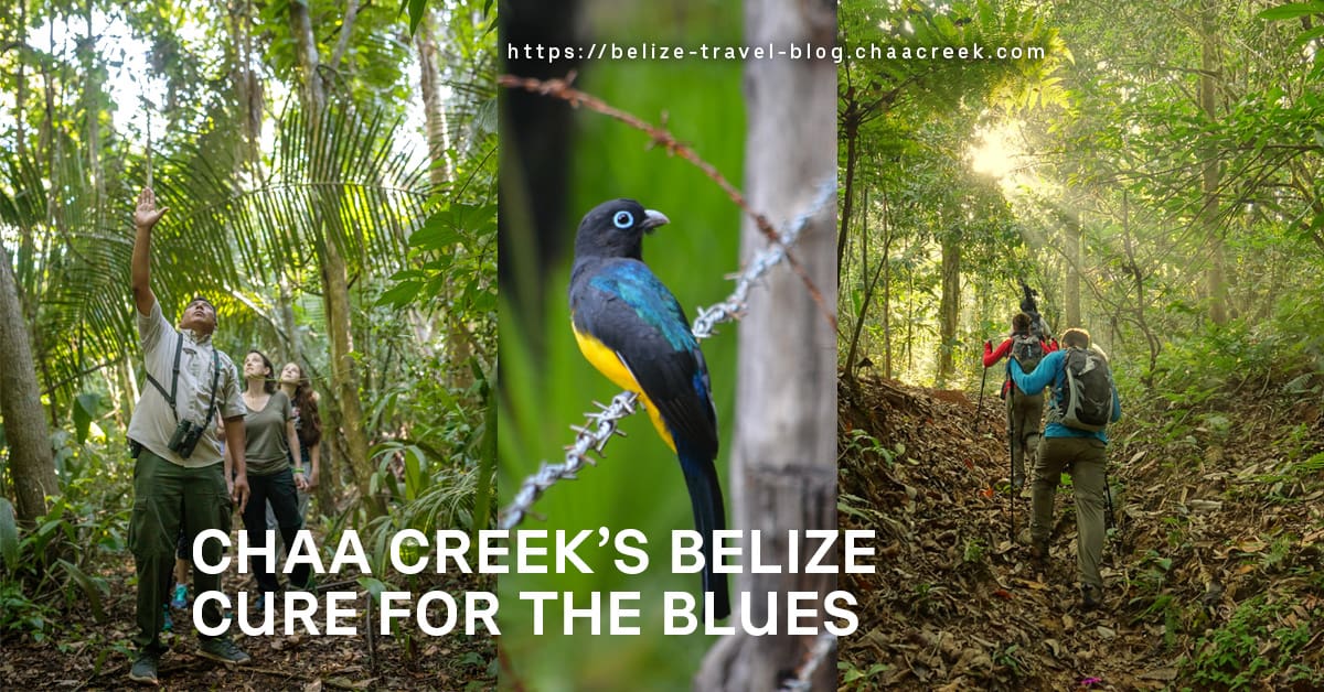 chaa creek belize cure for blues hiking and outdoors