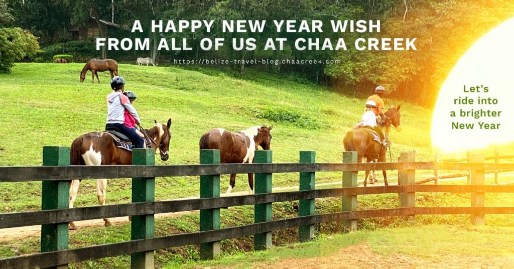 happy new year 2021 horseback ride into a brighter new year
