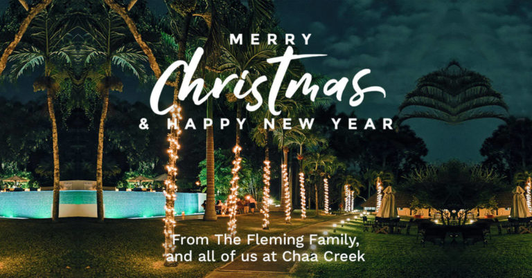 merry christmas happy new years 2020 2021 from chaa creek resort
