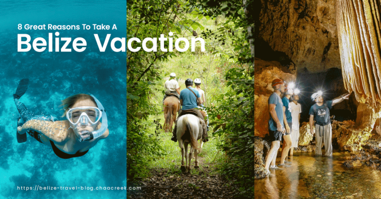Belize vacation 8 great reasons hero image with snorkeling horsebackriding and cave photos