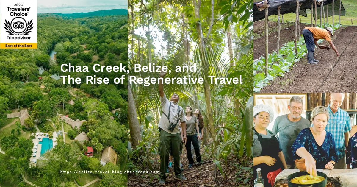 Chaa Creek, Belize, and The Rise of Regenerative Travel