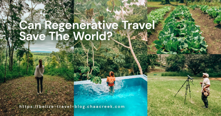 can regenerative travel save world Chaa Creek resort header