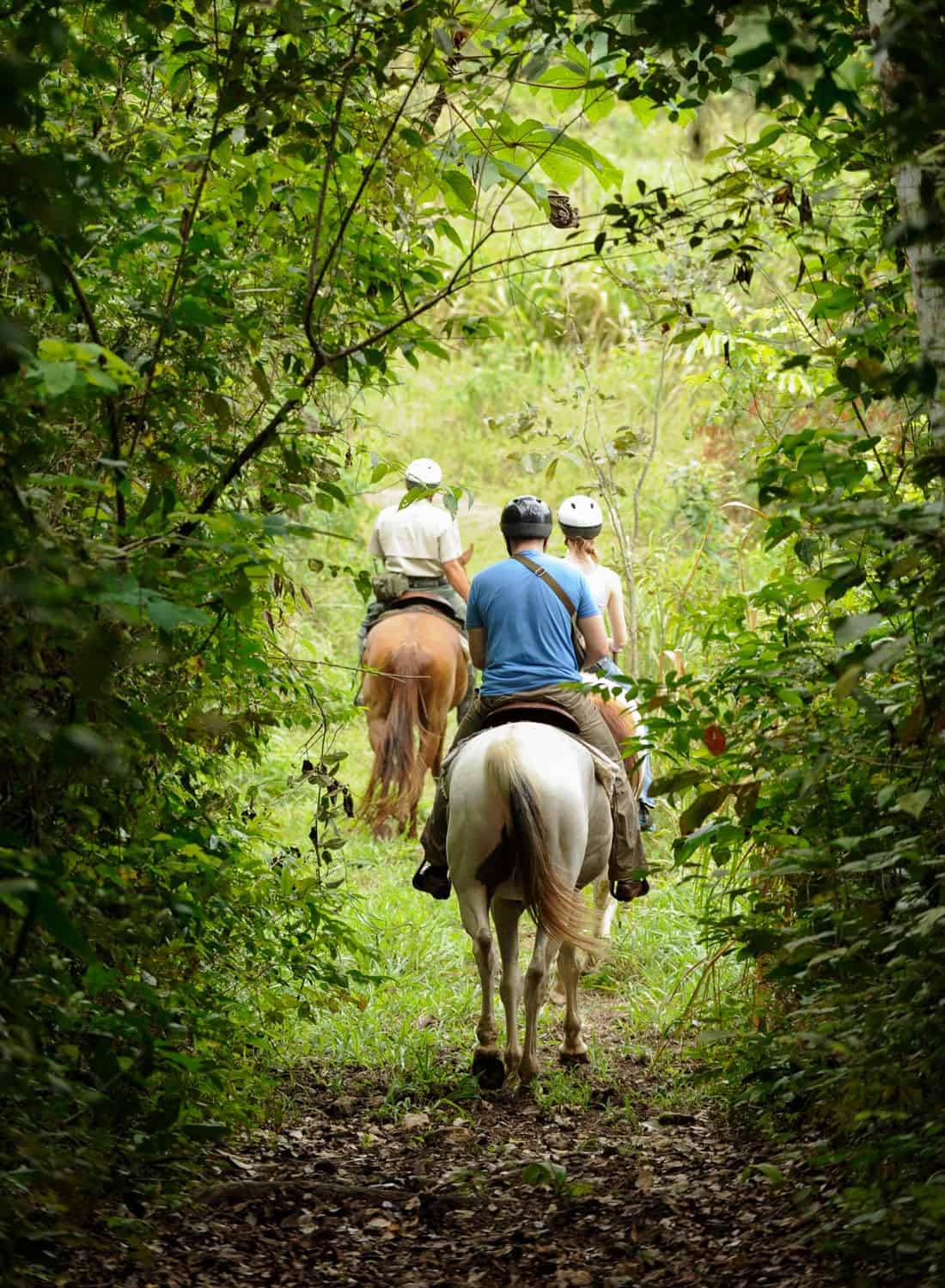 belize horseback riding at chaa creek luxury jungle resort
