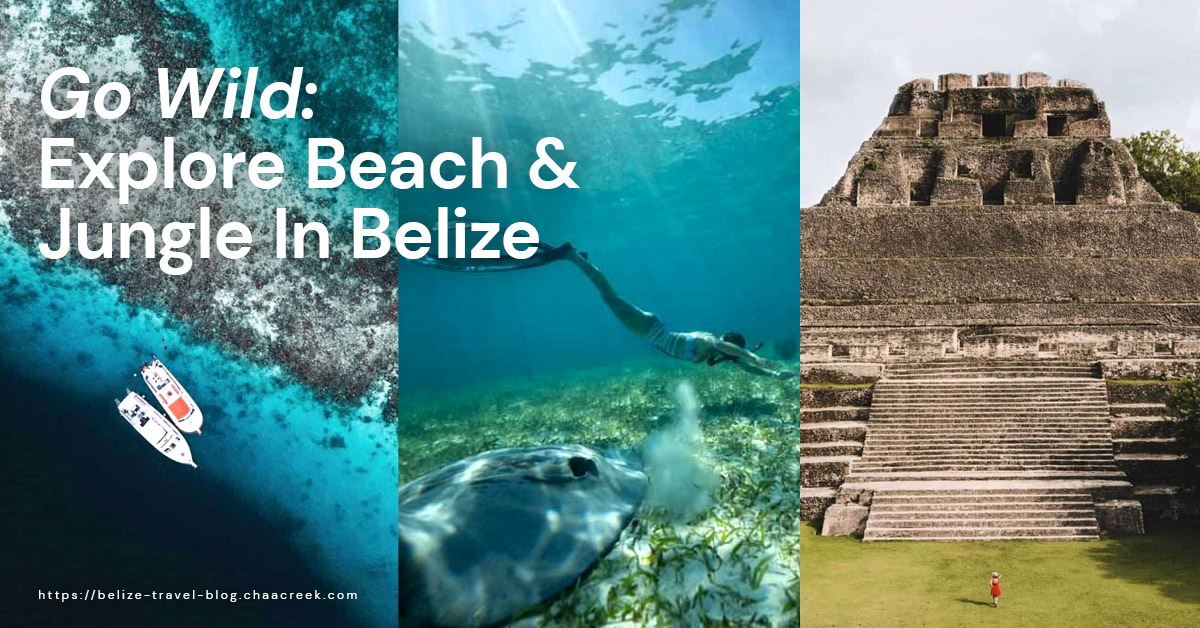 Go Wild: Explore The Best Of Belize Beach & Jungle
