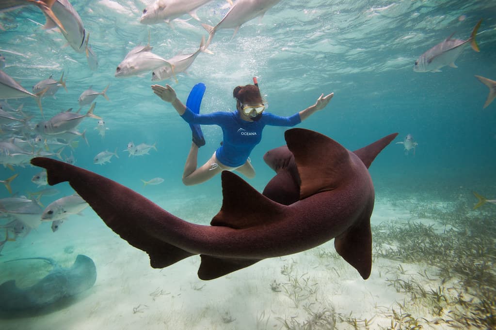 Actress Kate Walsh swimming with sharks at Hol Chan Marine Reserve