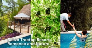 belize tree top Resort at chaa creek jungle lodge