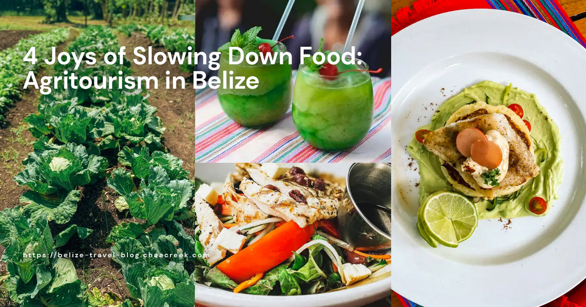 Agritourism in Belize: 4 Joys of Slowing Down Food