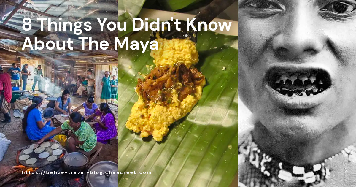 8 Things You Didn't Know About The Maya