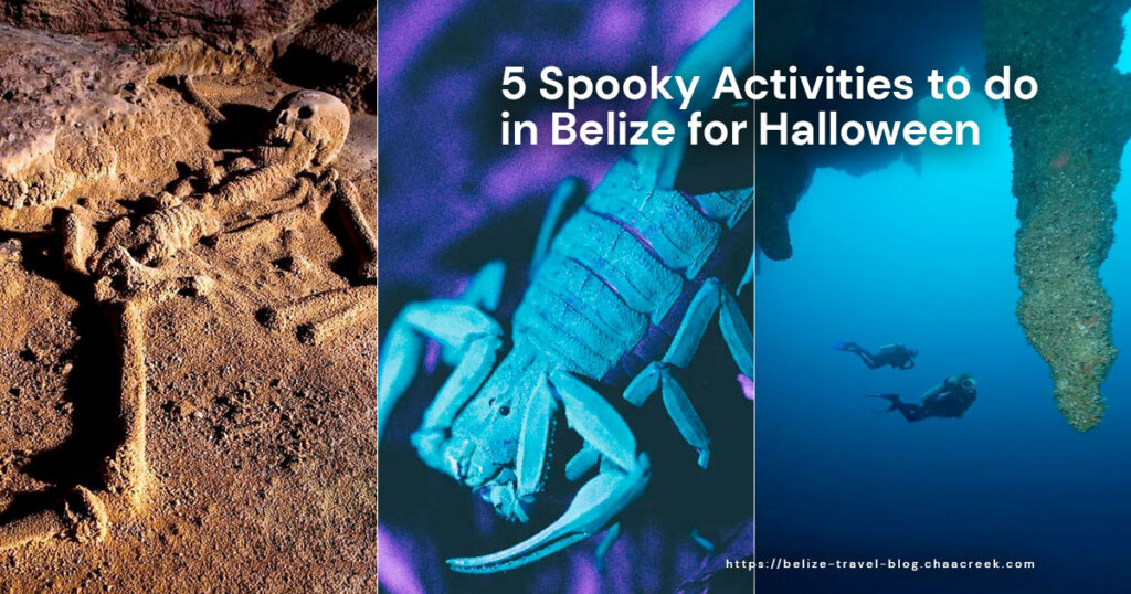 5 Spooky Activities to do in Belize for Halloween featured image