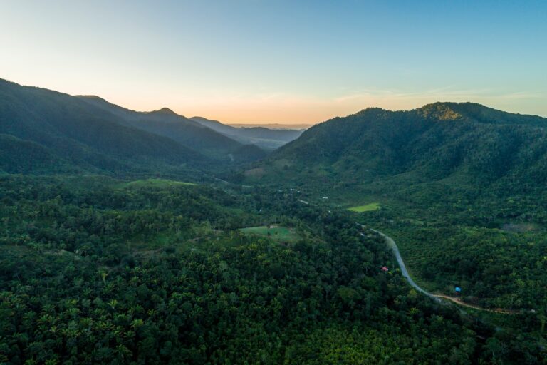 National Geographic Names Belize As One Of 25 Amazing Journeys For 2022   Belize Land Protection Reserve Areas Forest Hills 768x512 