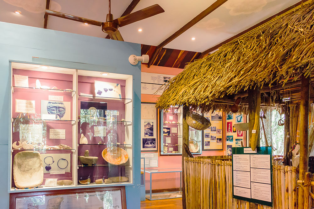 Chaa Creek's Natural History Center Interior Display