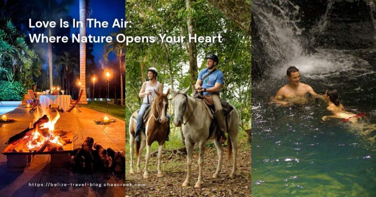 Love Is In The Air: Where Nature Opens Your Heart featured image