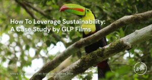 how to leverage sustainability a case study by glp films cover image
