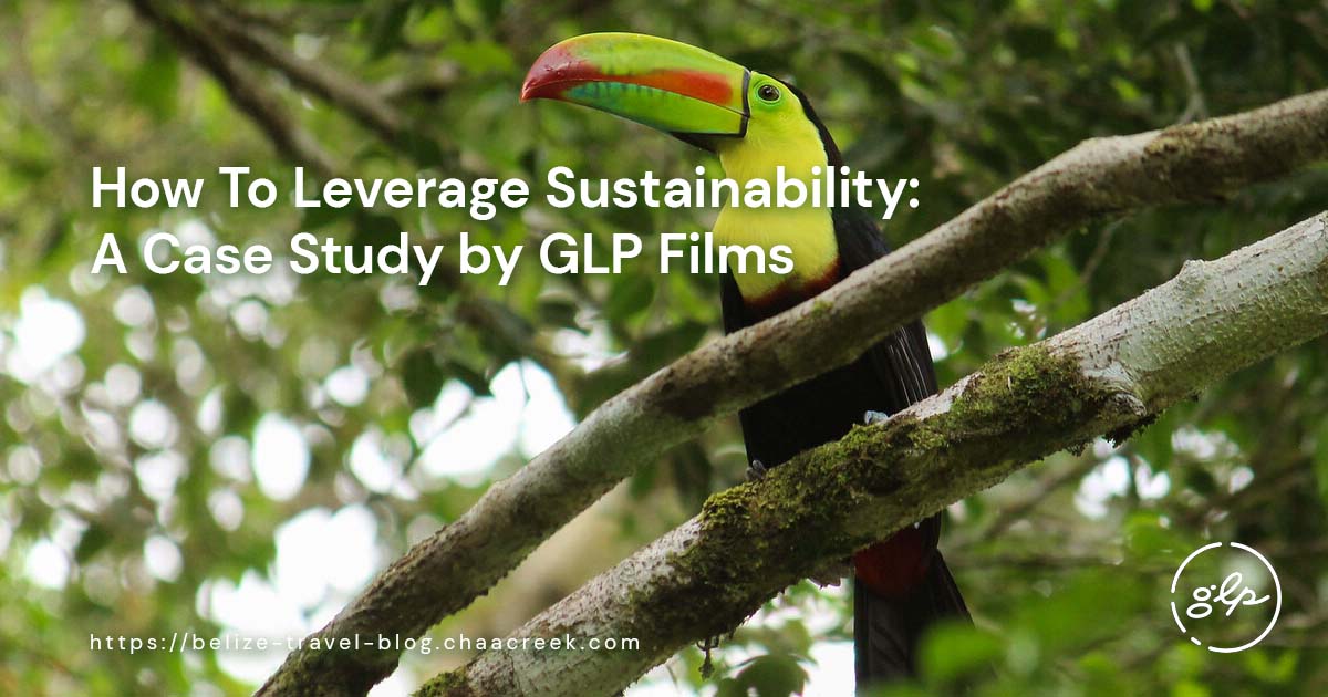 How To Leverage Sustainability: A Case Study by GLP Films