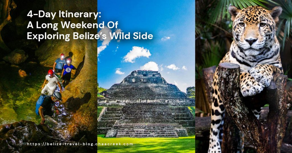 4 day belize itinerary explore wild side featured over image