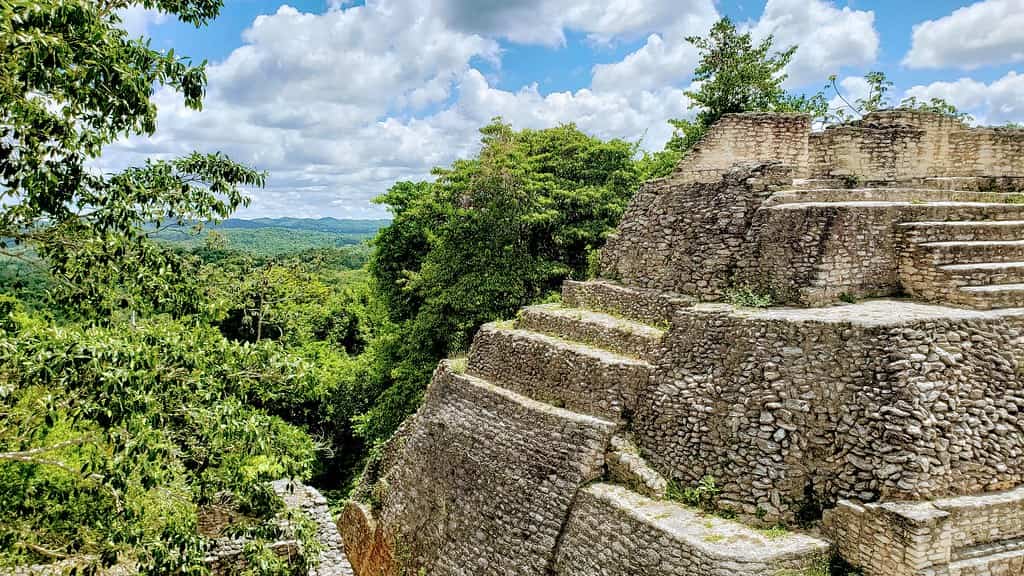 caracol belize mayan ruins canopy jungle view