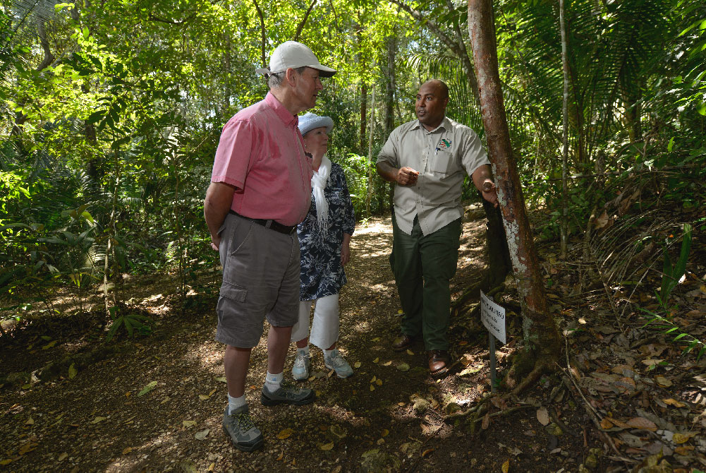maya medicinal plant trail at chaa creek for earth day 2022
