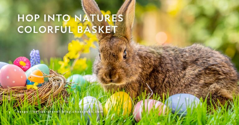 hop into natures colorful basket easter 2022 featured image