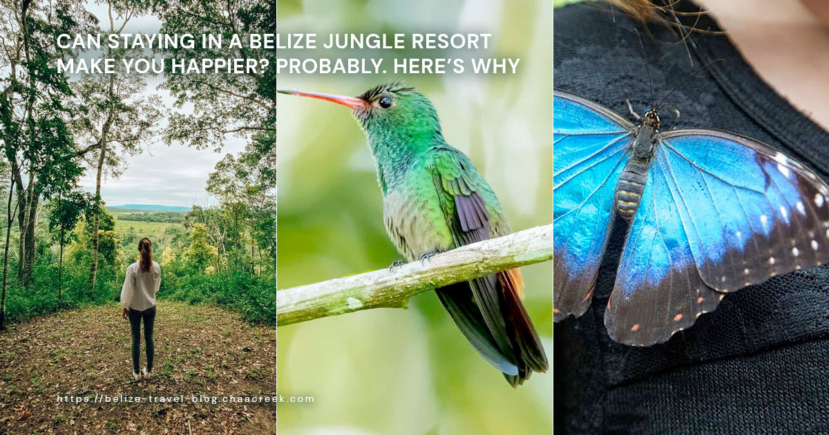 can staying in a belize jungle resort make you happy cover photo image