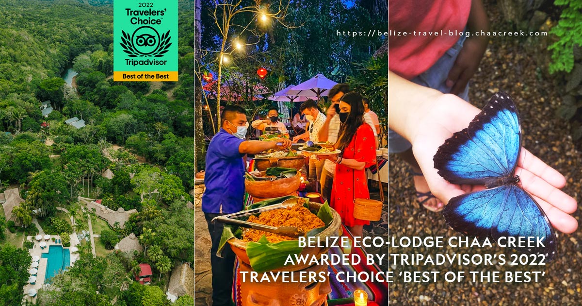 Belize Eco-Lodge Chaa Creek Awarded by TripAdvisor’s 2022 Travelers’ Choice ‘Best of the Best’