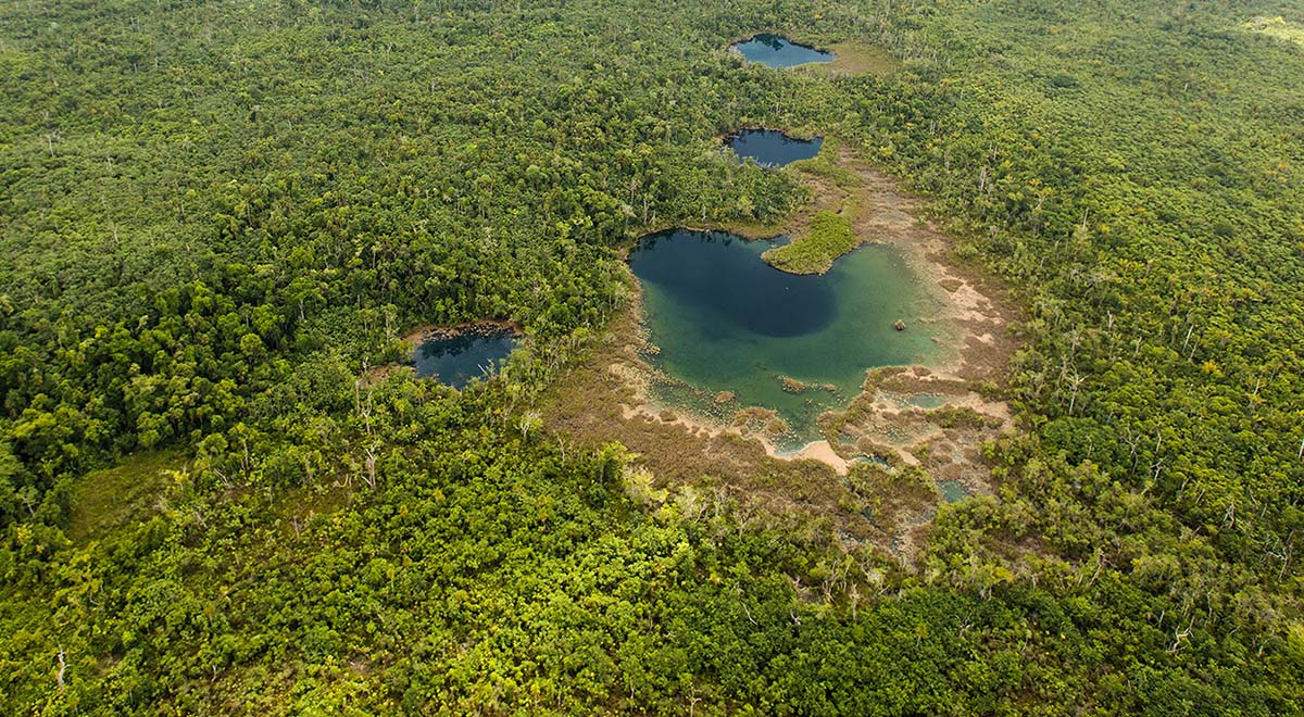 belize maya forest corridor aerial photo of carablanca pools