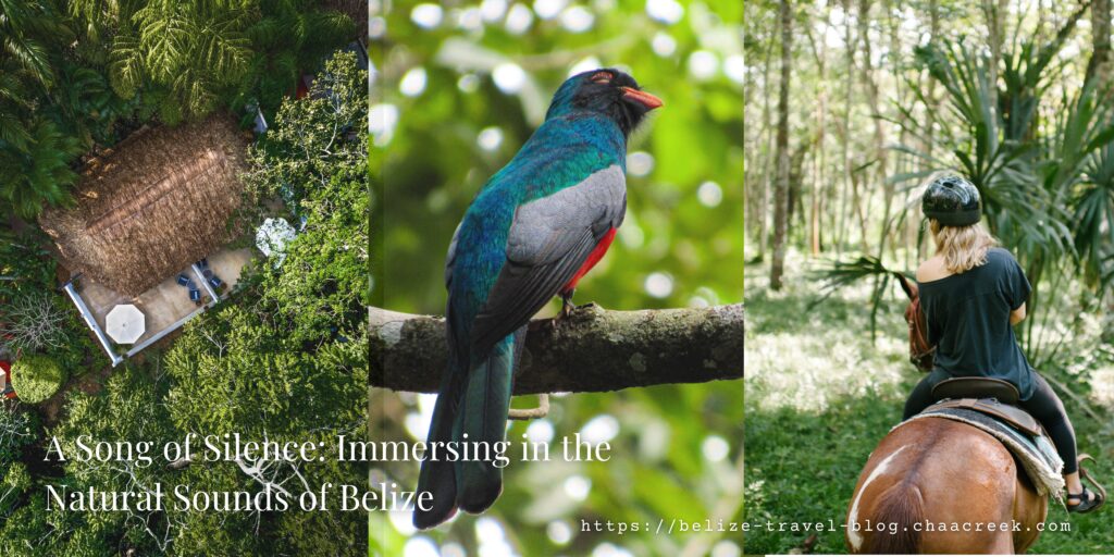 A Song of Silence: Immersing in the Natural Sounds of Belize