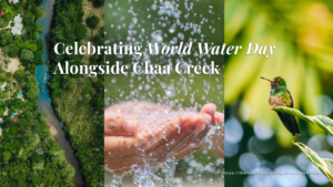 World Water Day Chaa Creek