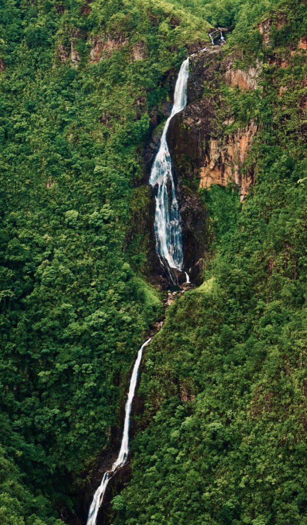 Belize Jungle adventure 1000 ft falls 