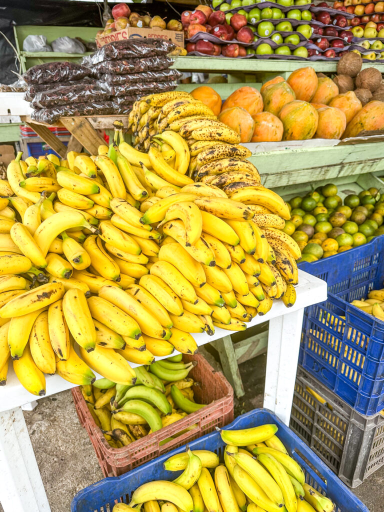 Belize Produce San Ignacio Farmers Market 
