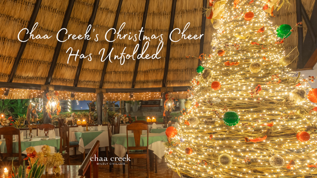Chaa Creek Christmas Belize