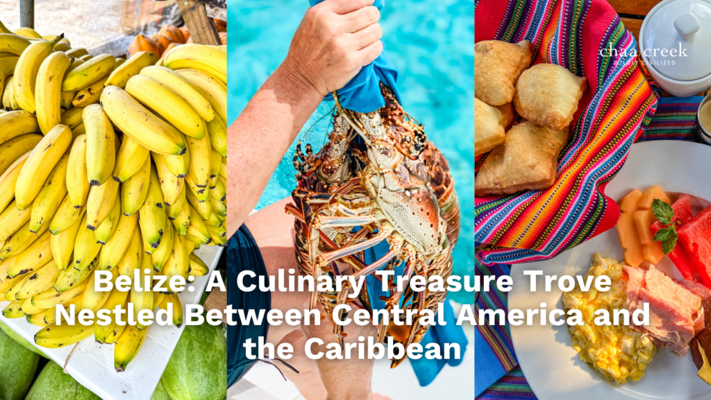 culinary tourism belize food chaa creek