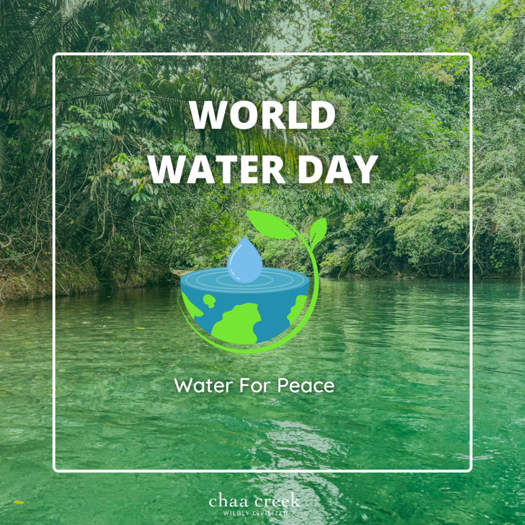 world water day instagram post