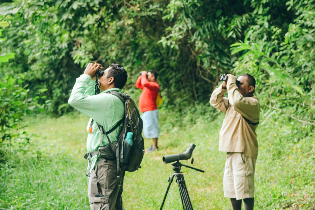 Guided birding in Belize the Lodge at Chaa Creek 