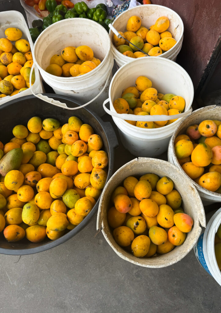 Mango Season Belize 