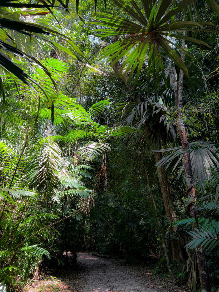 jungle belize The Lodge at Chaa Creek 